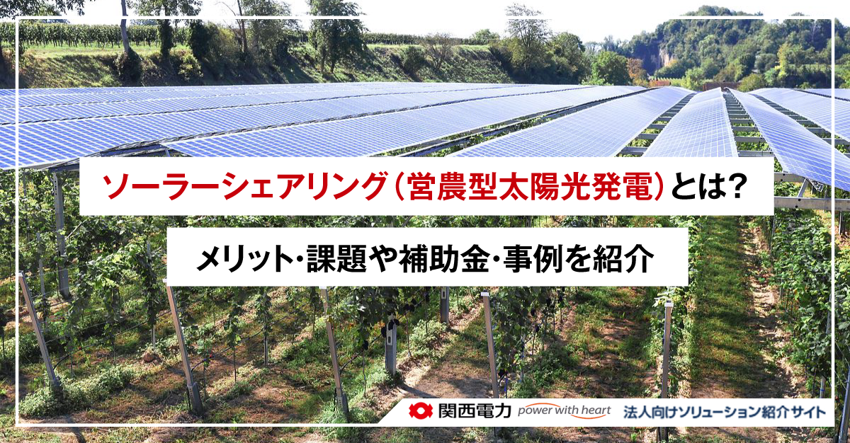 ソーラーシェアリング(営農型太陽光発電)とは?メリット・課題や補助金・事例を紹介